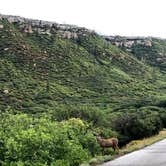 Review photo of Morefield Campground — Mesa Verde National Park by Austin C., August 23, 2021