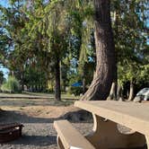 Review photo of Olympic Peninsula-Port Angeles KOA by Shelby , August 24, 2021