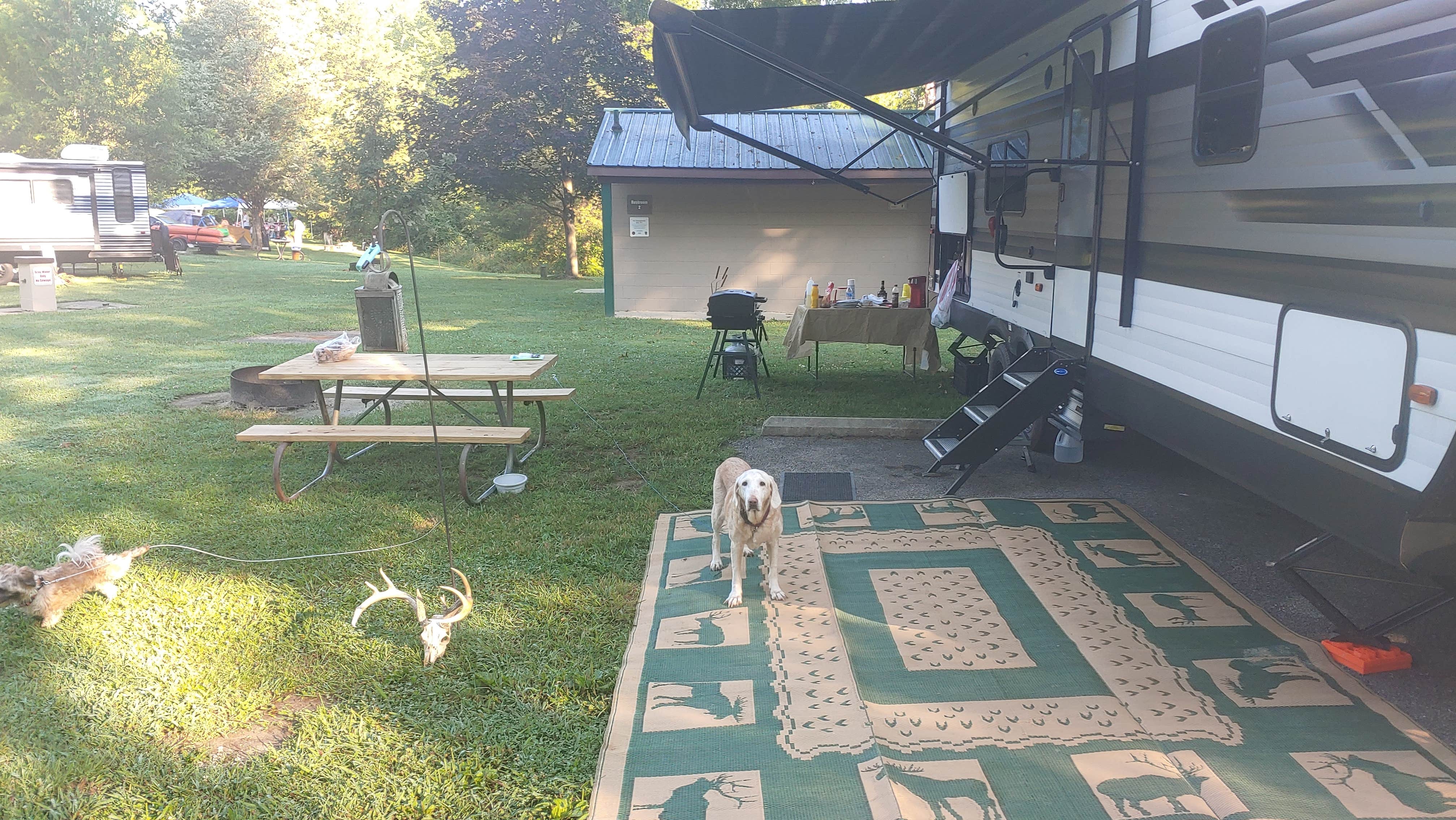 Ron S.'s photo of camping with pets at Stonelick State Park Campground near Cincinnati, OH