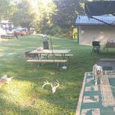 Review photo of Stonelick State Park Campground by Ron S., August 24, 2021