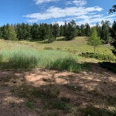 Review photo of Mueller State Park Campground by laura S., August 24, 2021