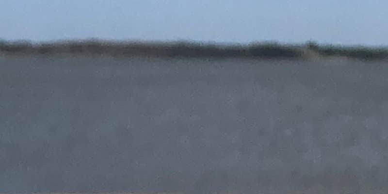 Cedar Point photo 3