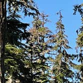 Review photo of Lost Lake Resort And Campground — Mt. Hood National Forest by Angel G., August 24, 2021