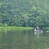 Review photo of Locust Lake State Park Campground by Dawn R., August 24, 2021