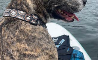 Dawn R.'s photo of camping with pets at Locust Lake State Park Campground near New Ringgold, PA