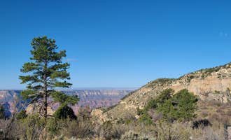 Camping near Havasupai Reservation Campground: Crazy Jug, Grand Canyon National Park, Arizona