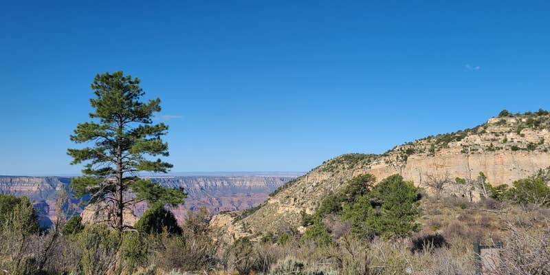 Camper submitted image from Crazy Jug