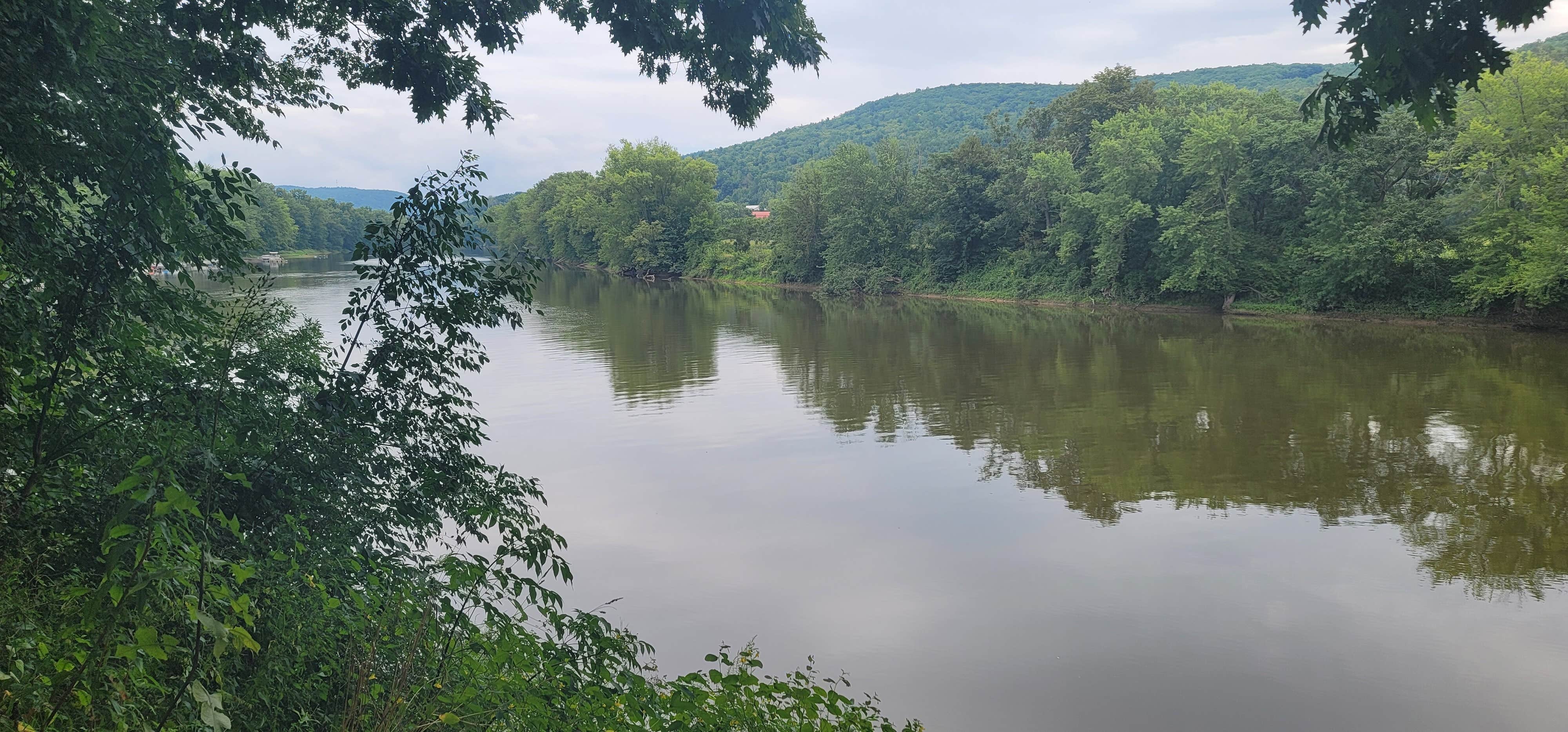 Best camping near Wallenpaupack Lake Estates, Pennsylvania The Dyrt