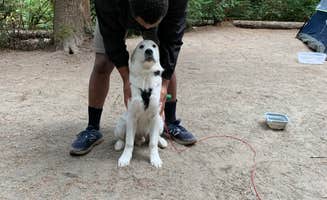 lindsay's photo at Scenic Beach State Park Campground near Belfair, WA