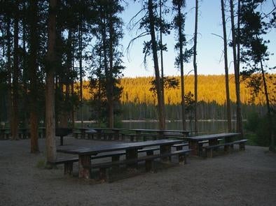 Camper submitted image from North Shore Picnic Area - 1