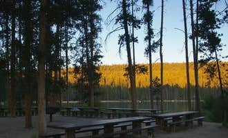 Camping near Big Trinity Cabin: North Shore Picnic Area, Atlanta, Idaho