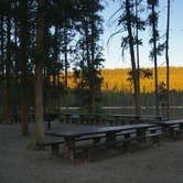 Review photo of North Shore Picnic Area by Miles G., August 24, 2021