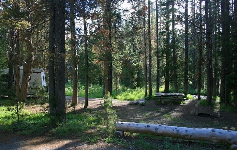 Camper submitted image from Banner Creek Campground - 4