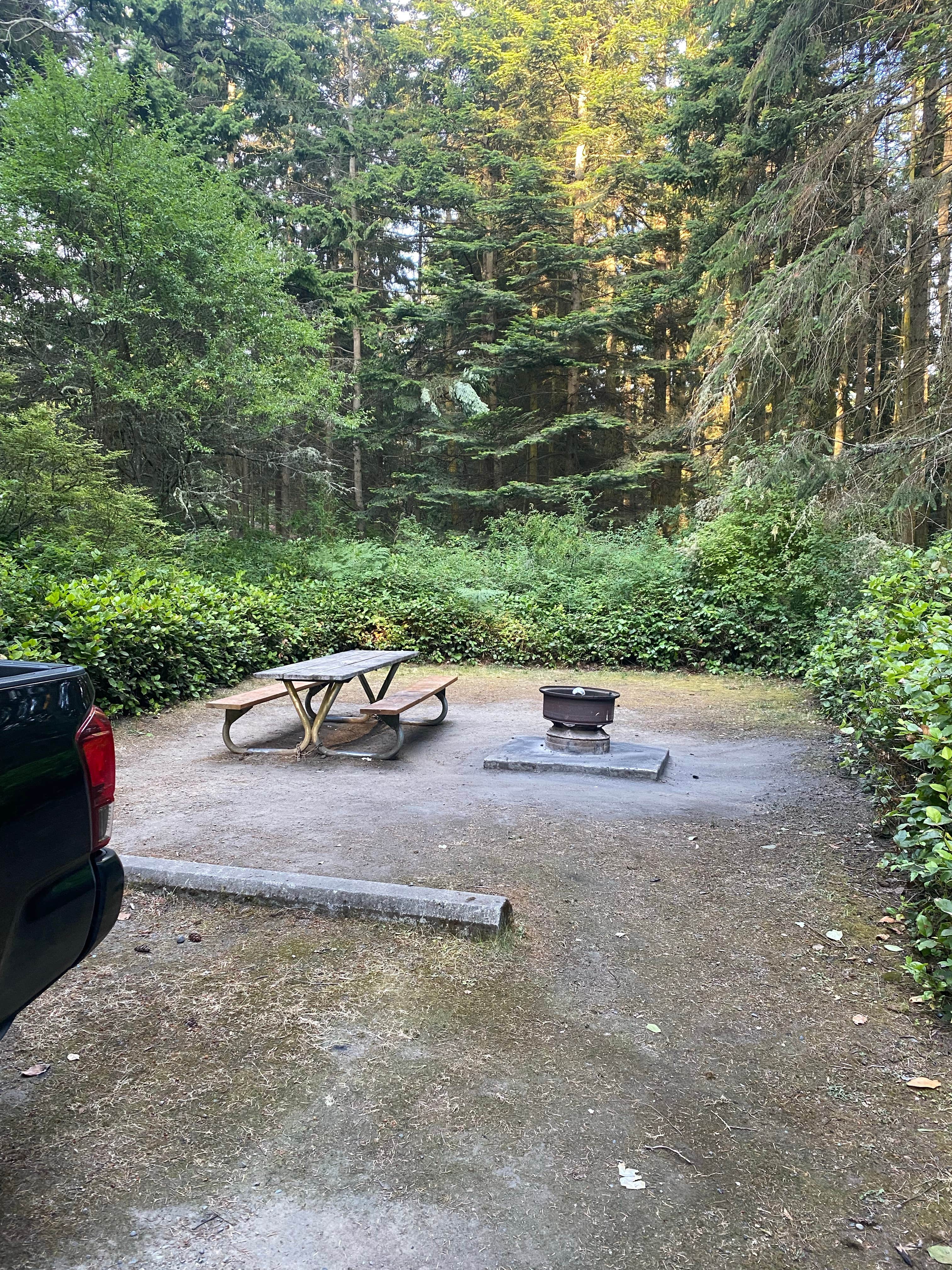 Camper submitted image from Dungeness Recreation Area - 4