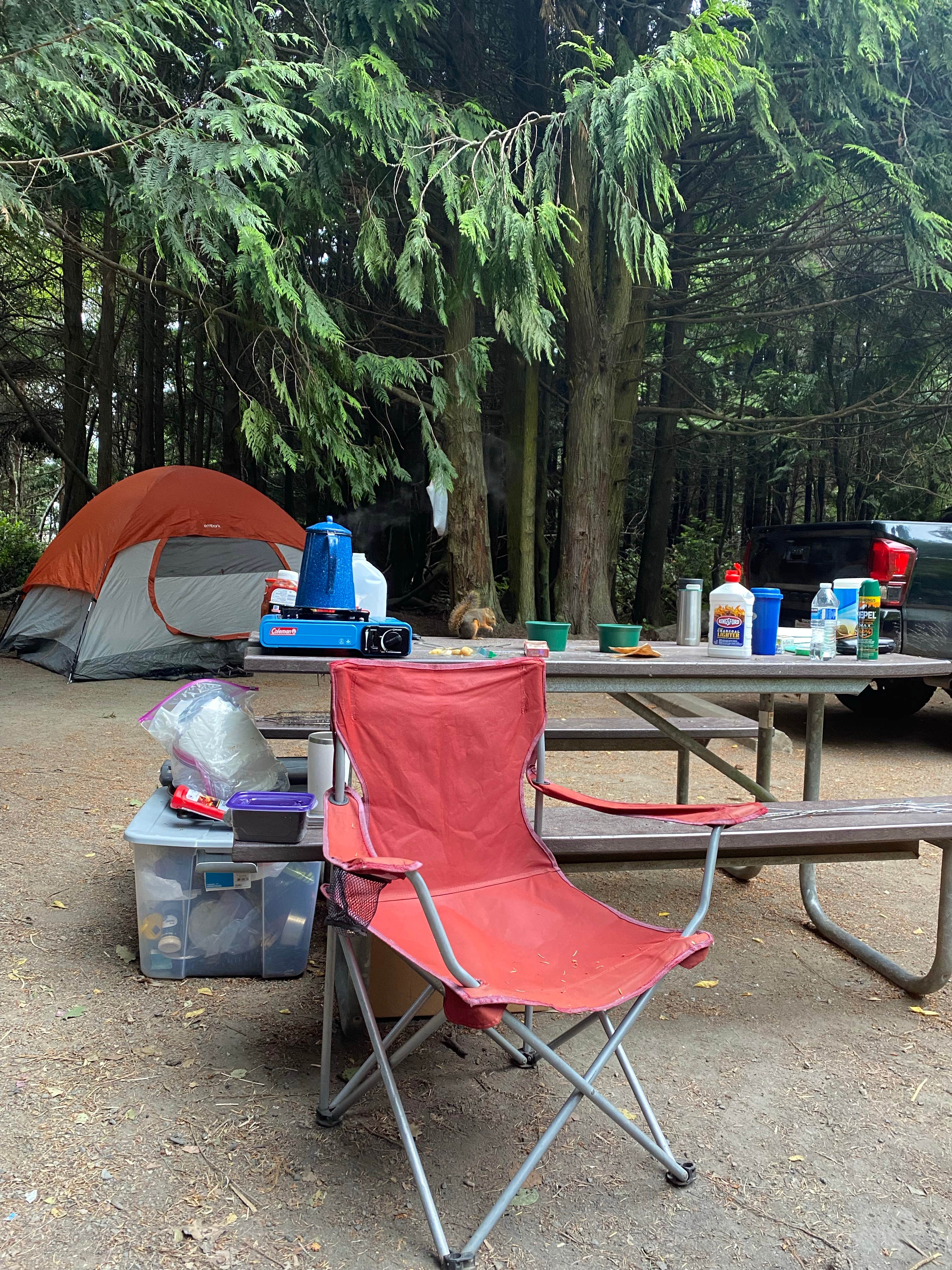 Mitch B.'s photo at Dungeness Recreation Area near Carlsborg, WA