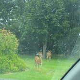 Review photo of Dungeness Recreation Area by Mitch B., August 24, 2021