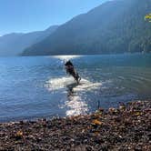 Review photo of Fairholme Campground — Olympic National Park by Mitch B., August 24, 2021