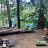 Review photo of Fairholme Campground — Olympic National Park by Mitch B., August 24, 2021