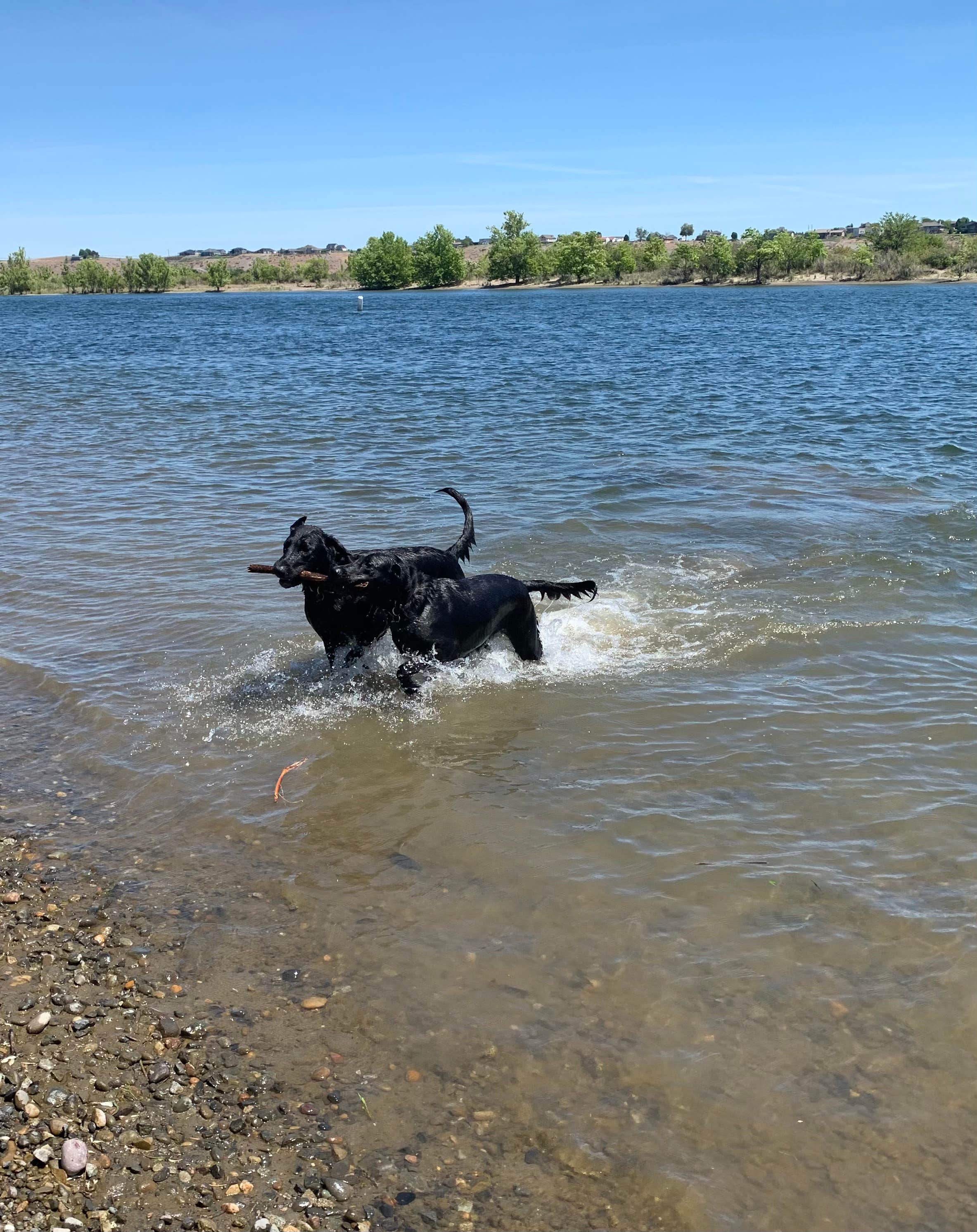 Horn Rapids RV Resort Richland, WA