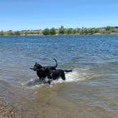 Review photo of Horn Rapids RV Resort by Tina M., August 24, 2021