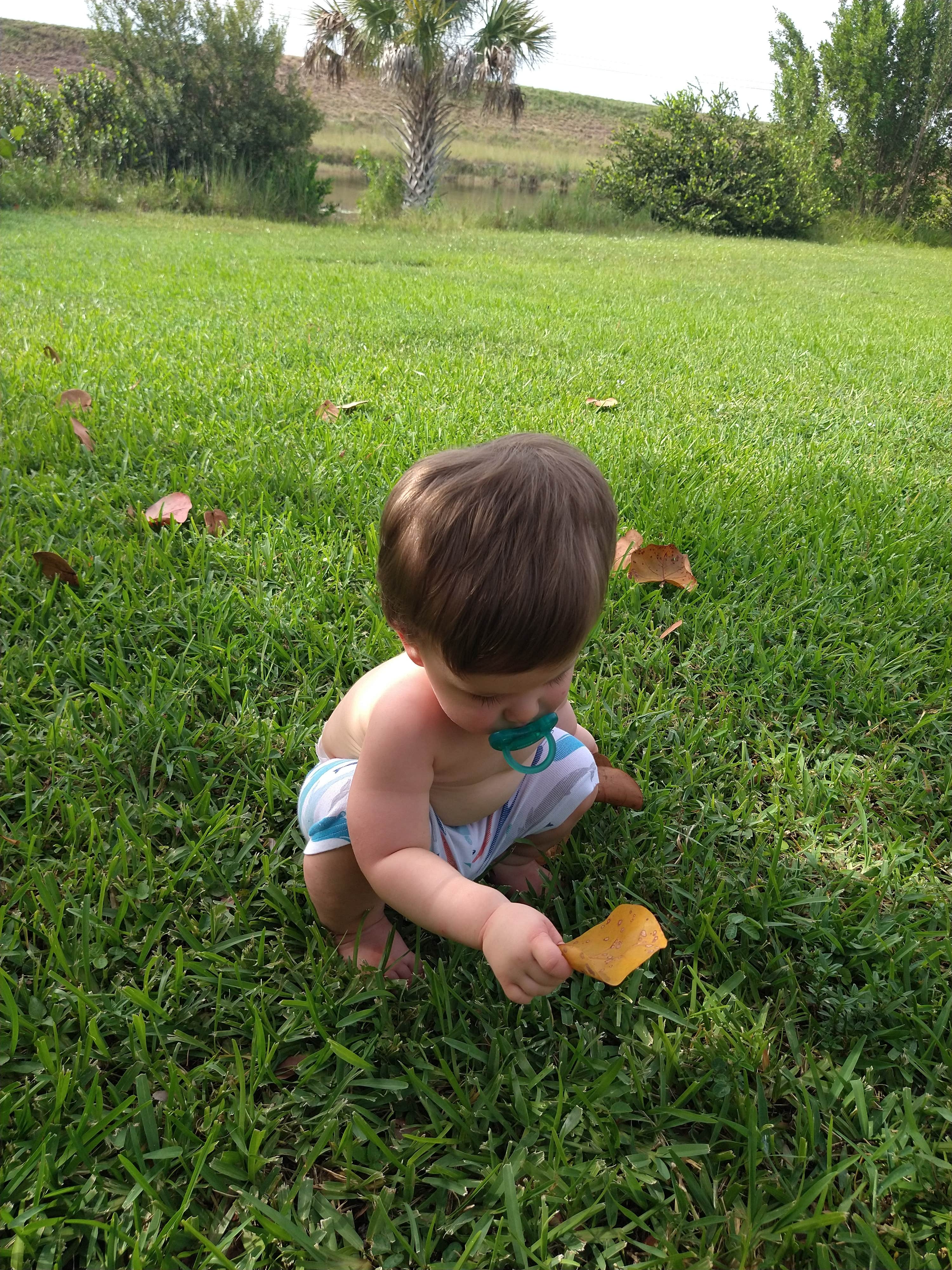 Camper submitted image from Markham Park Campground - 4