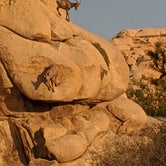 Review photo of Hidden Valley Campground — Joshua Tree National Park by Ralph , August 24, 2021