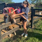 Review photo of Yogi Bear's Jellystone Park Camp-Resort Wichita Falls by Brooke C., August 24, 2021