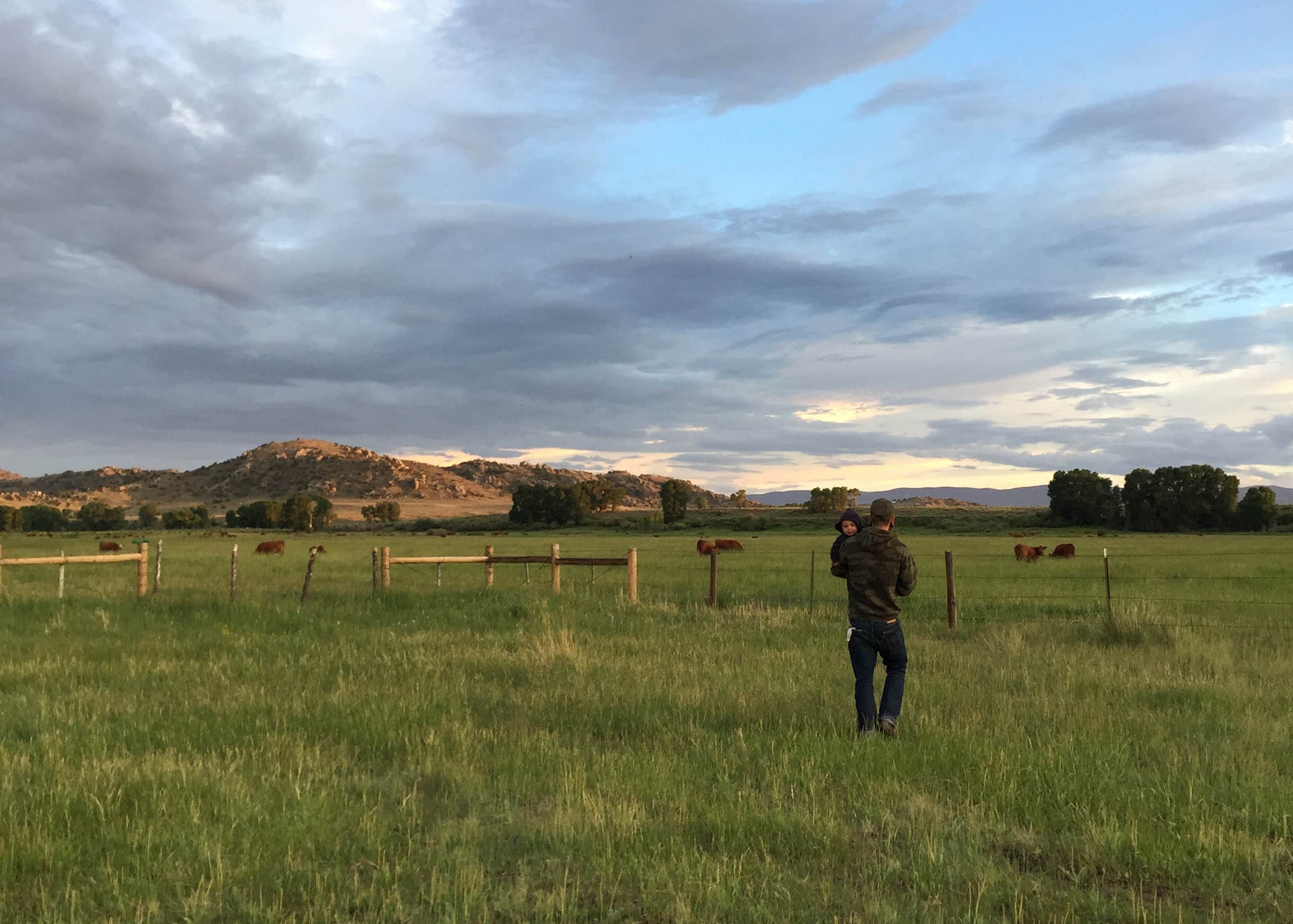 North Platte River Treasure Island Public Access Area Camping The Dyrt