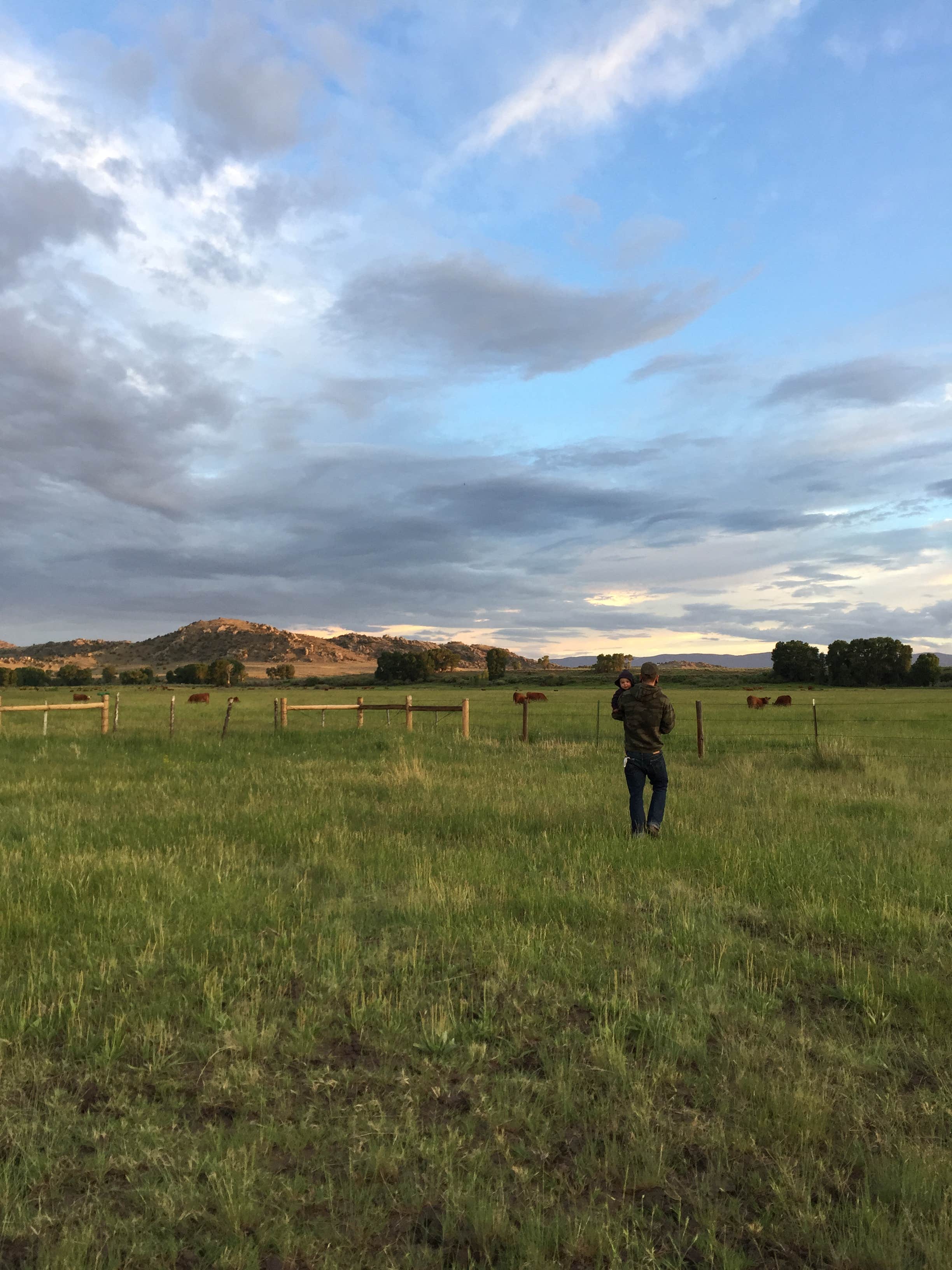 Camper submitted image from North Platte River Treasure Island - Public Access Area - 2