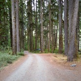 Review photo of Graves Creek Campground — Olympic National Park by Don , August 24, 2021