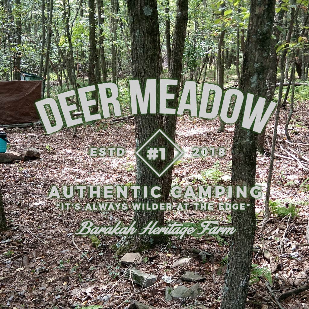 Carrie E.'s photo at Barakah Heritage Farm near Eagles Mere, PA