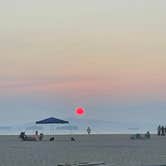 Review photo of Bolsa Chica State Beach by Michele H., August 24, 2021