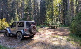 Camping near Chiwawa Horse Campground: Phelps Creek Campground, Stehekin, Washington