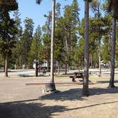 Review photo of Madison Arm Resort by Krystle C., June 20, 2018