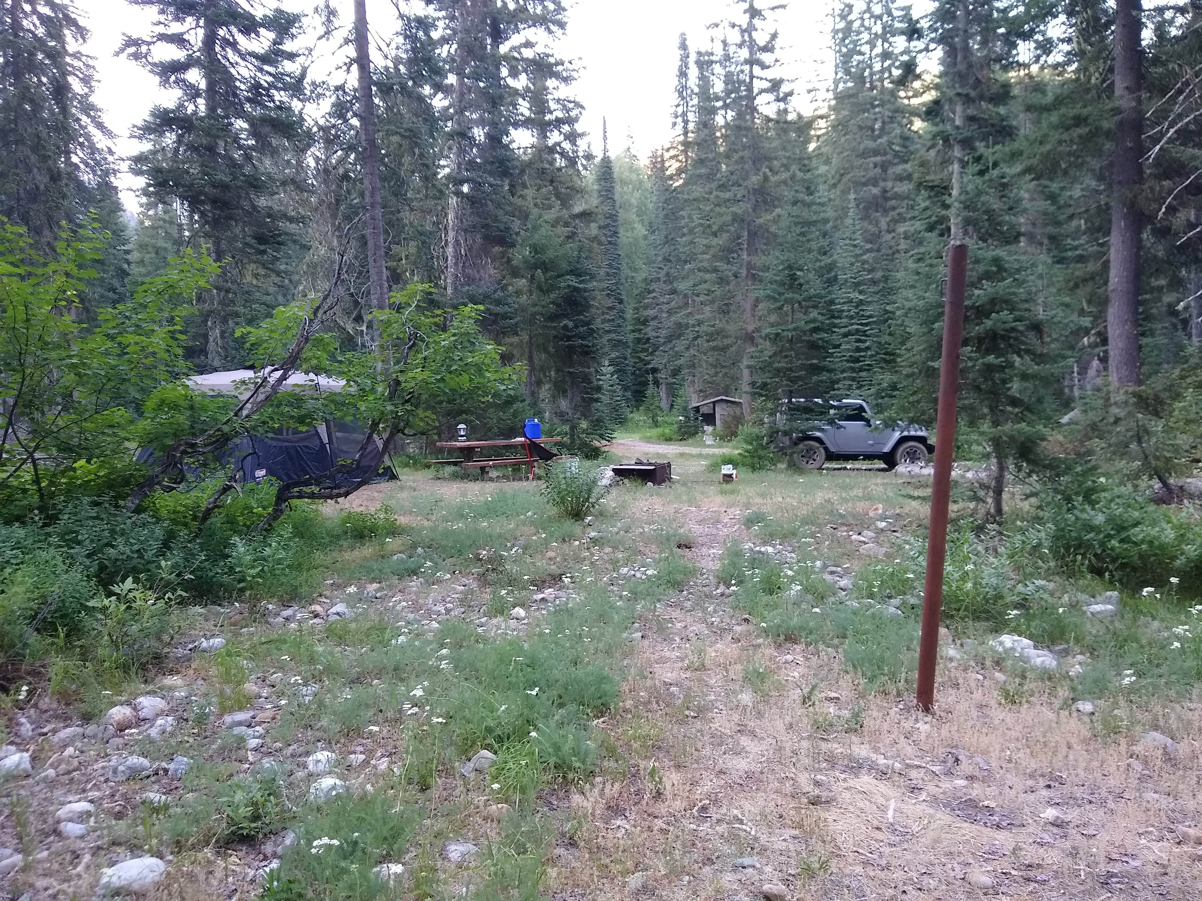 Camper submitted image from Phelps Creek Campground - 3