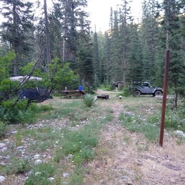 Campsite with horse tethering pole
