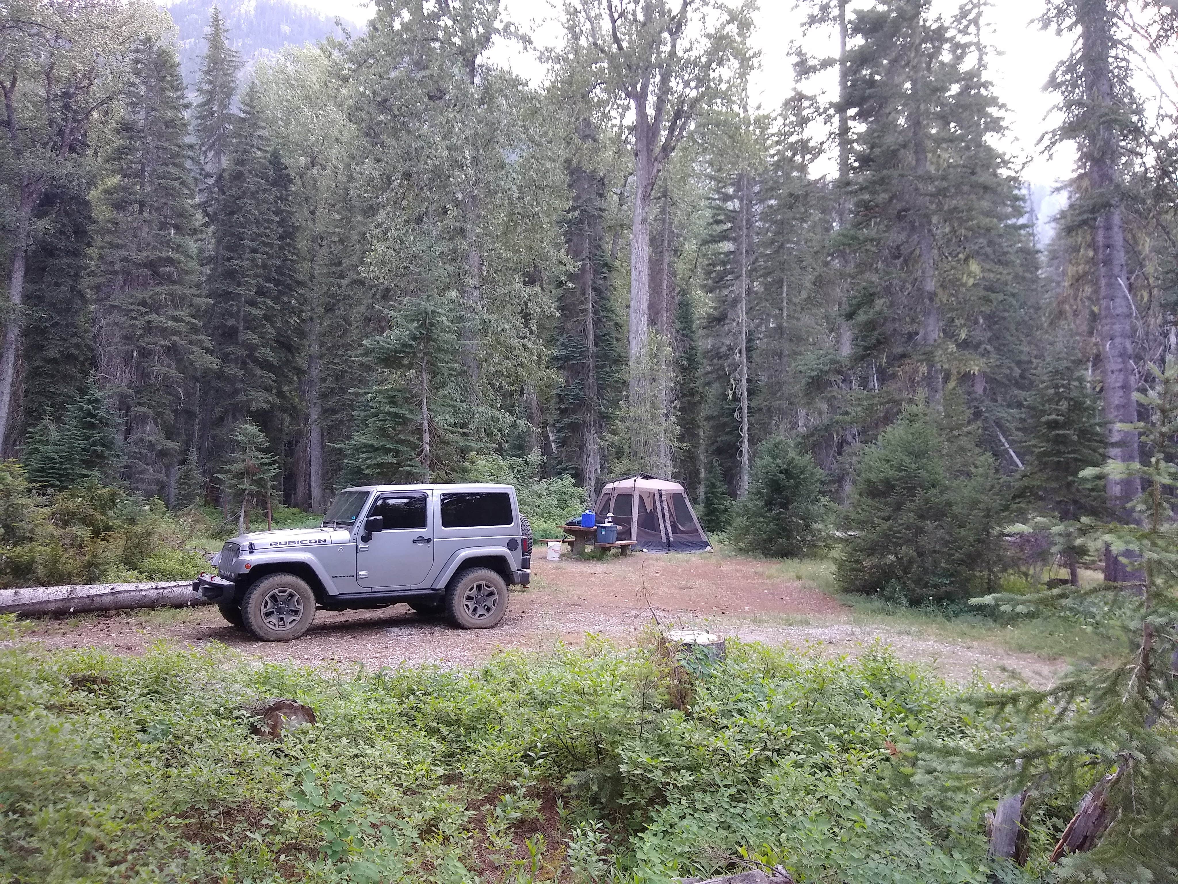 Camper submitted image from Phelps Creek Campground - 2