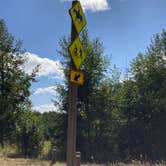 Review photo of Hares Canyon Horse Camp — L.L. Stub Stewart State Park by Tanya B., August 25, 2021