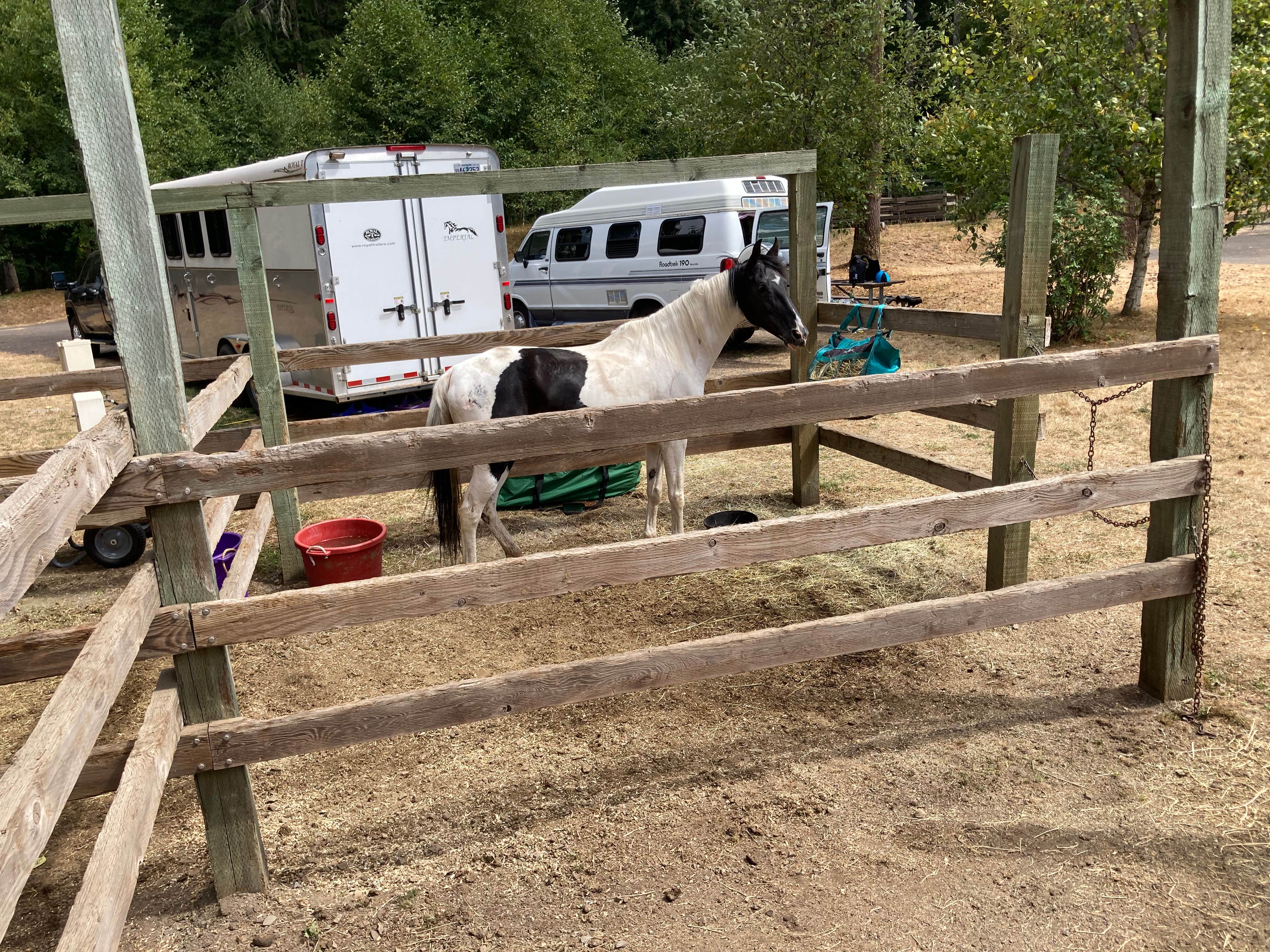 Tanya B.'s photo of camping with a horse at Hares Canyon Horse Camp — L.L. Stub Stewart Memorial State Park near Scappoose, OR