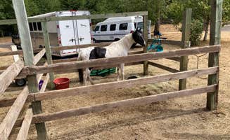 Tanya B.'s photo of camping with a horse at Hares Canyon Horse Camp — L.L. Stub Stewart Memorial State Park near Camas, WA