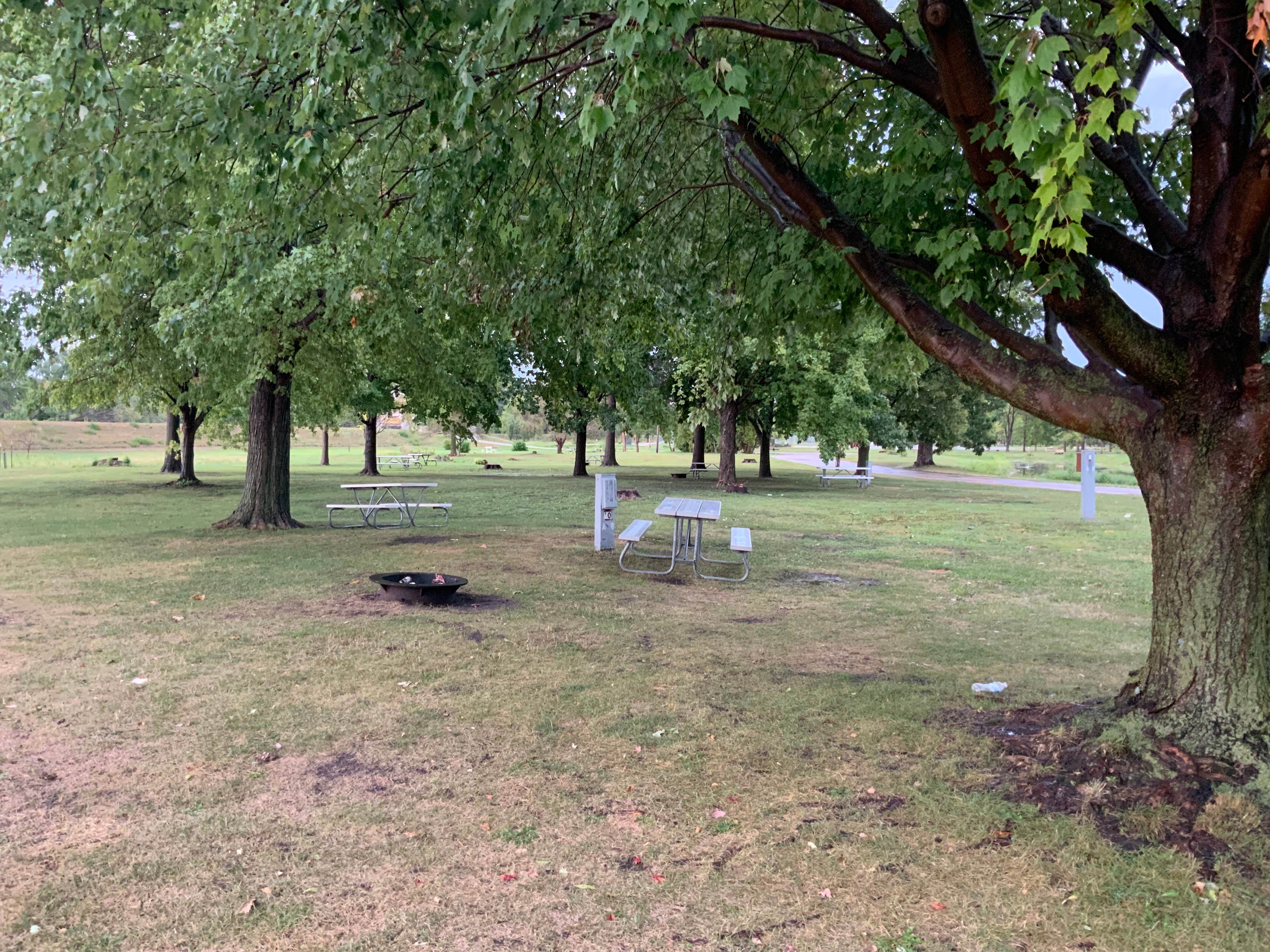 Camper-submitted photo at Riverview Park Campground near Marshalltown, IA