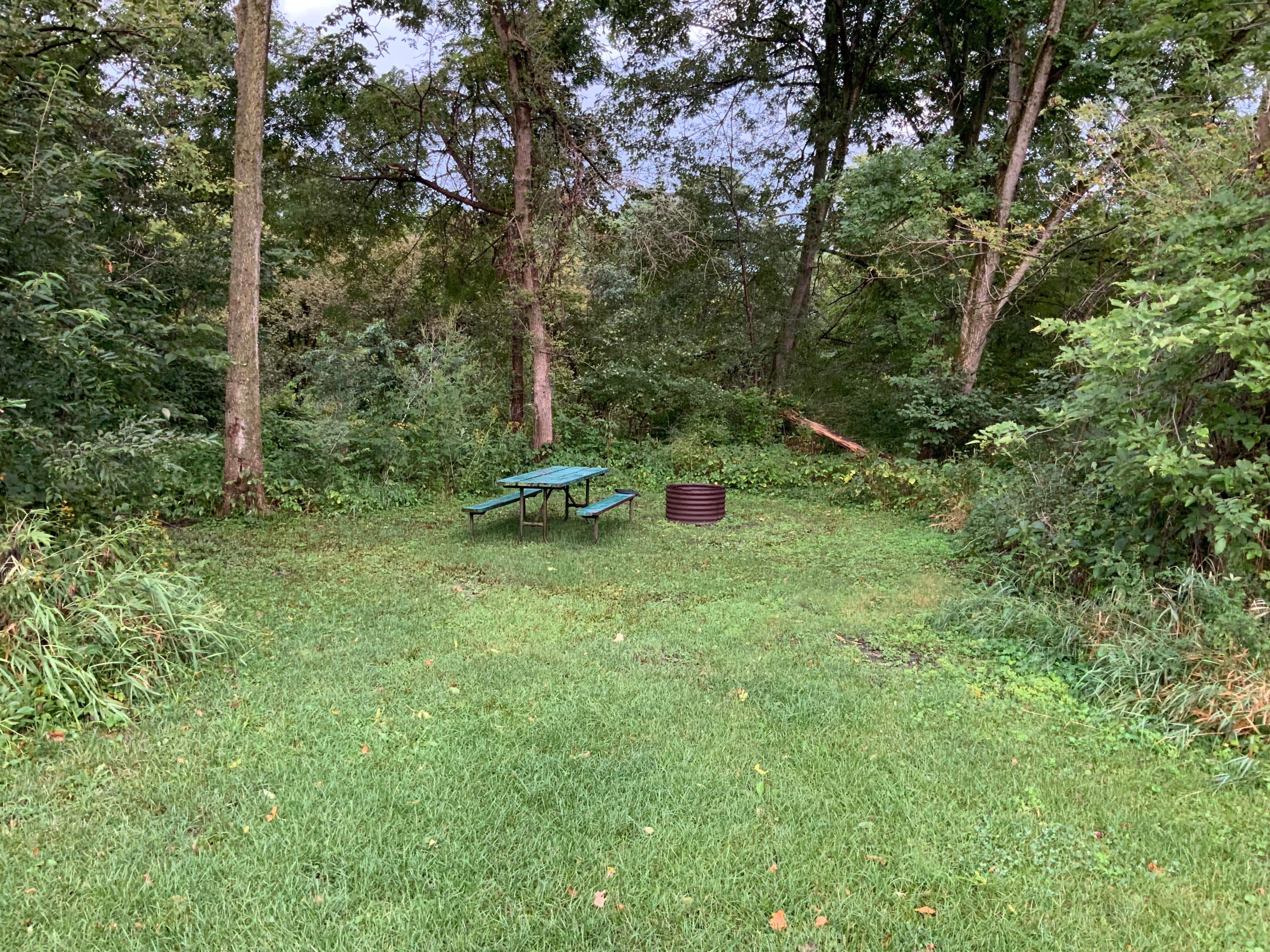 Camper submitted image from Wolf Creek Rec Area - 4