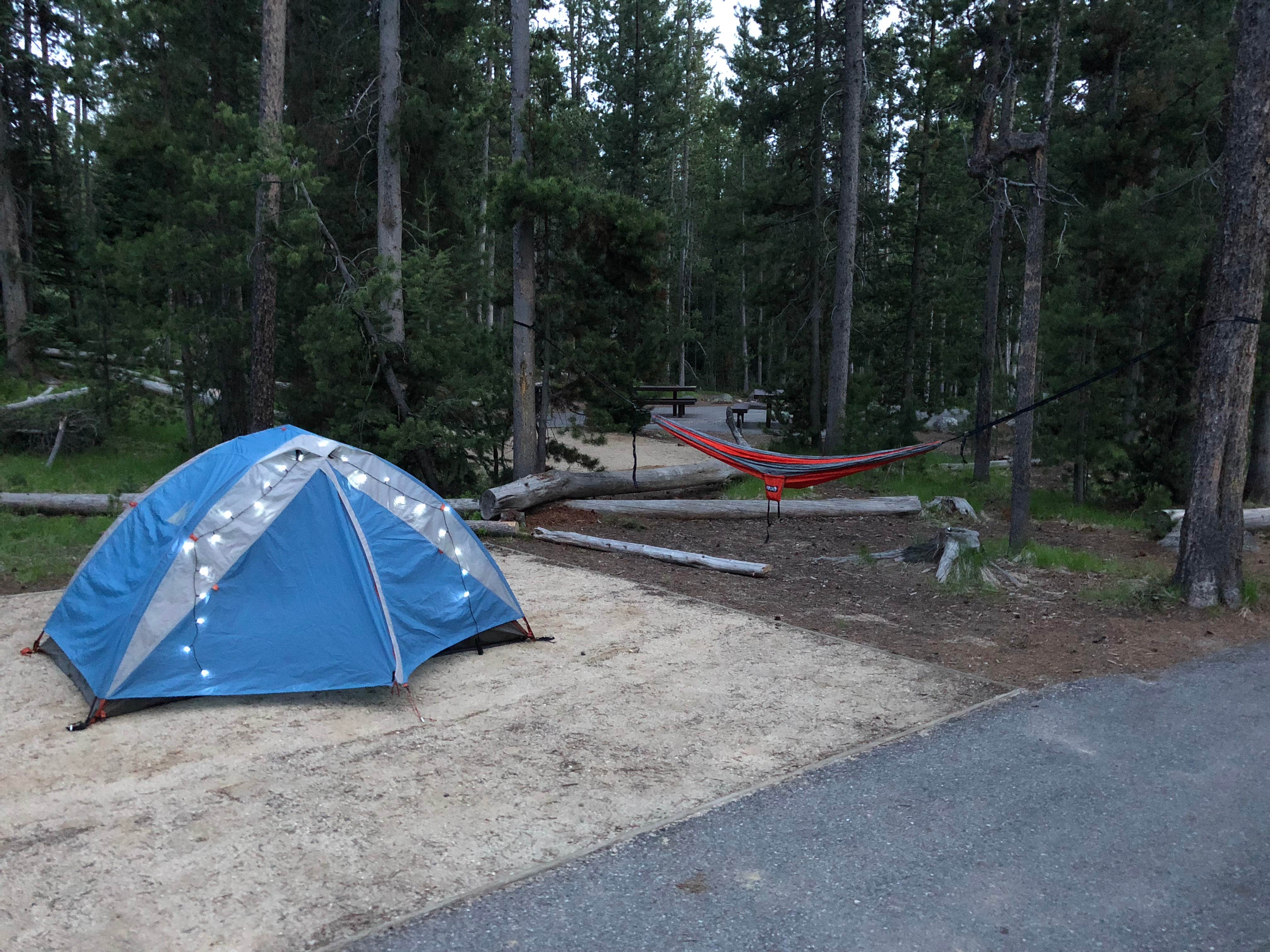 Evan P.'s photo at Outlet Campground at Redfish Lake near Stanley, ID