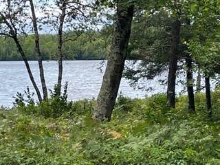 Camper-submitted photo at Black Lake near Winter, WI