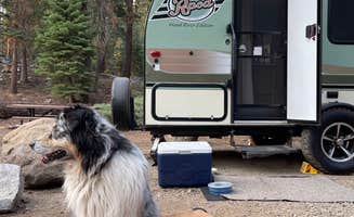 David G.'s photo of camping with pets at Silver Lake East- Eldorado near Kirkwood, CA