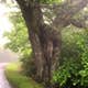 Mt Pisgah Campground — Blue Ridge Parkway