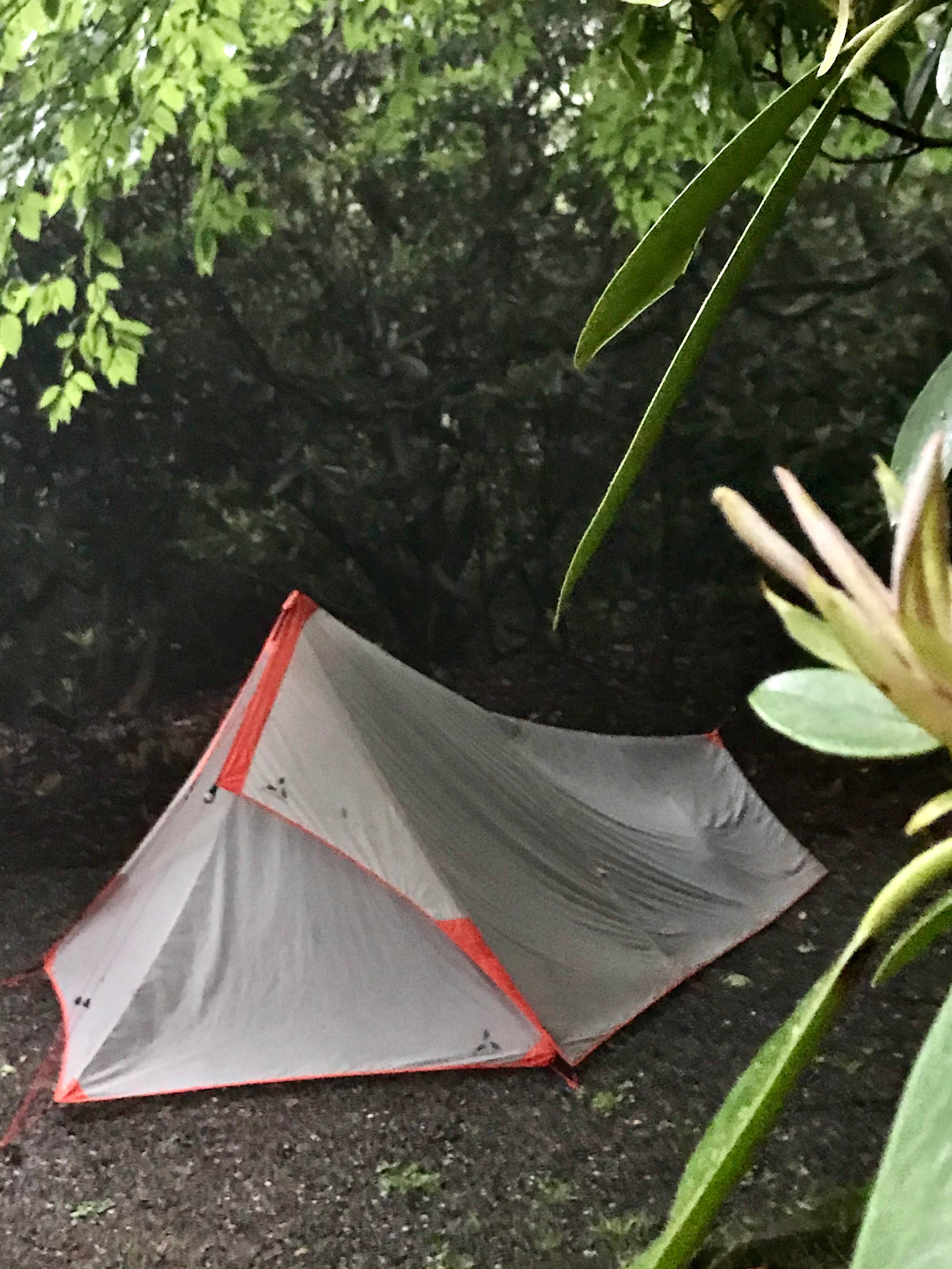 Camper submitted image from Mt Pisgah Campground — Blue Ridge Parkway - 5
