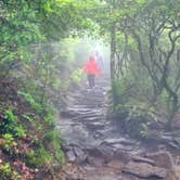 Review photo of Mt Pisgah Campground — Blue Ridge Parkway by Kelly G., August 25, 2021