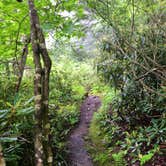 Review photo of Mt Pisgah Campground — Blue Ridge Parkway by Kelly G., August 25, 2021