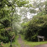 Review photo of Mt Pisgah Campground — Blue Ridge Parkway by Kelly G., August 25, 2021